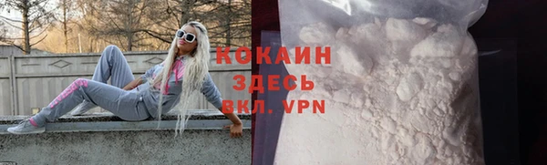 прущие грибы Бородино