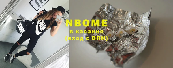 прущие грибы Бородино