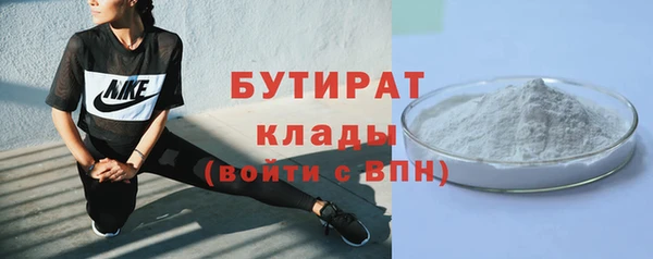 прущие грибы Бородино