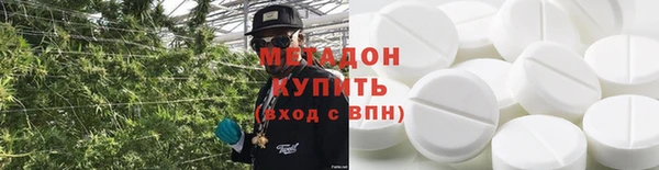 прущие грибы Бородино