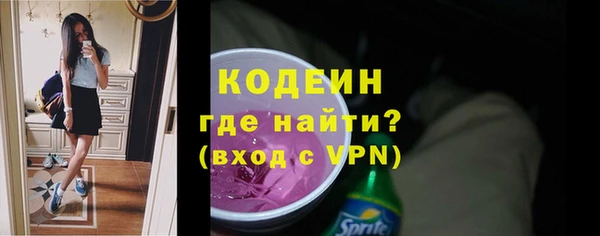 прущие грибы Бородино
