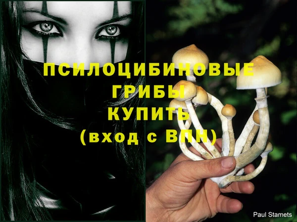 марки lsd Бронницы
