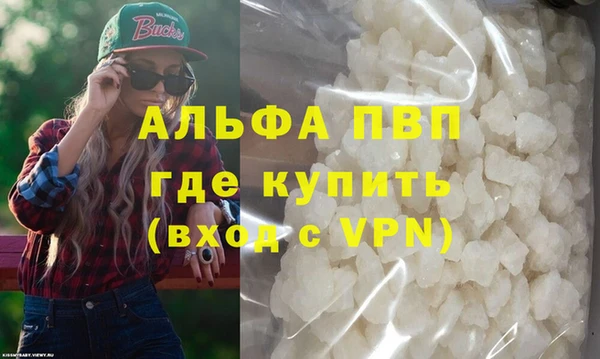 прущие грибы Бородино