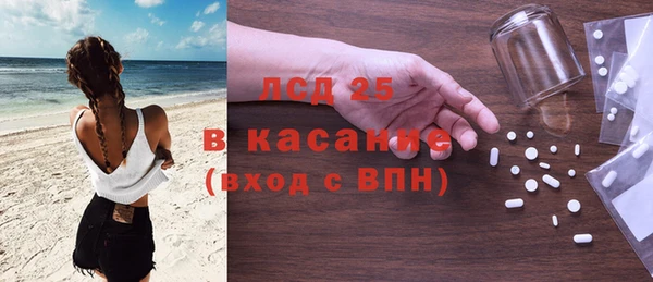 прущие грибы Бородино