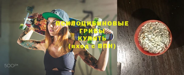 прущие грибы Бородино