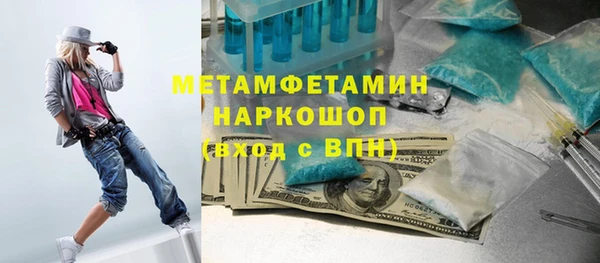 прущие грибы Бородино