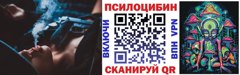 Псилоцибиновые грибы Psilocybine cubensis Тбилисская